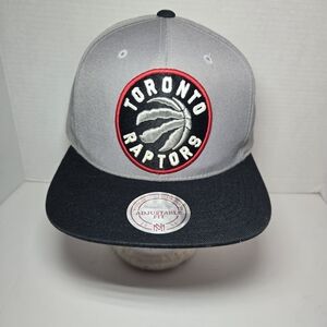 Mitchell & Ness Gray and Black Toronto Raptors Hat